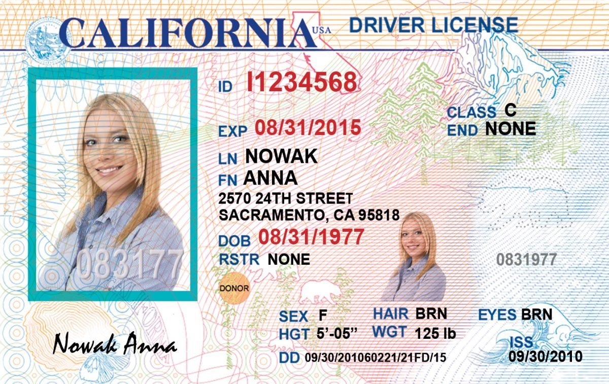 Californian driving licence Card