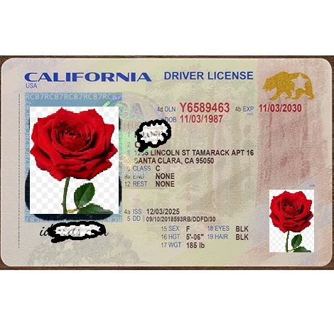 Newest California 2026