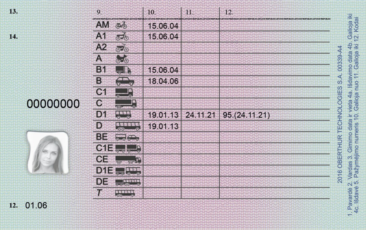 Lithuanian Driving license - Image 2
