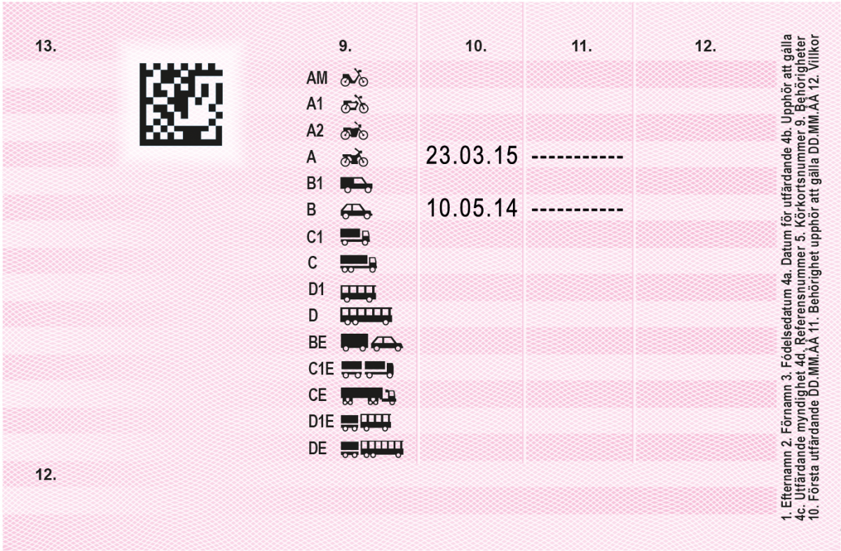 Swedish driving license - Image 2