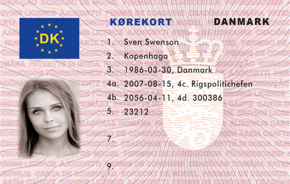 Danish driving licence