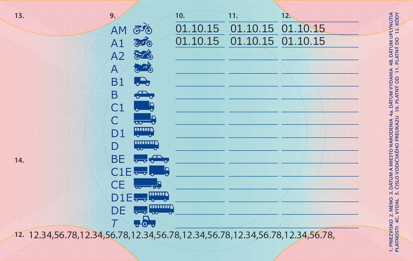 Slovak driving licence - Image 2