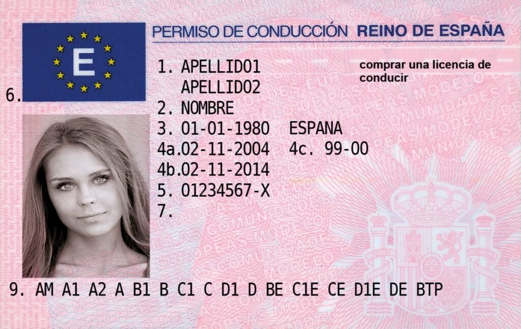 Spanish driving licence