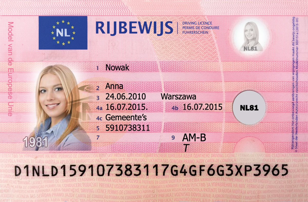Dutch Driving Licence