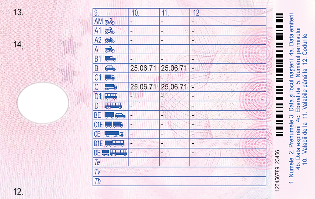 Romanian Driving Licence - Image 2