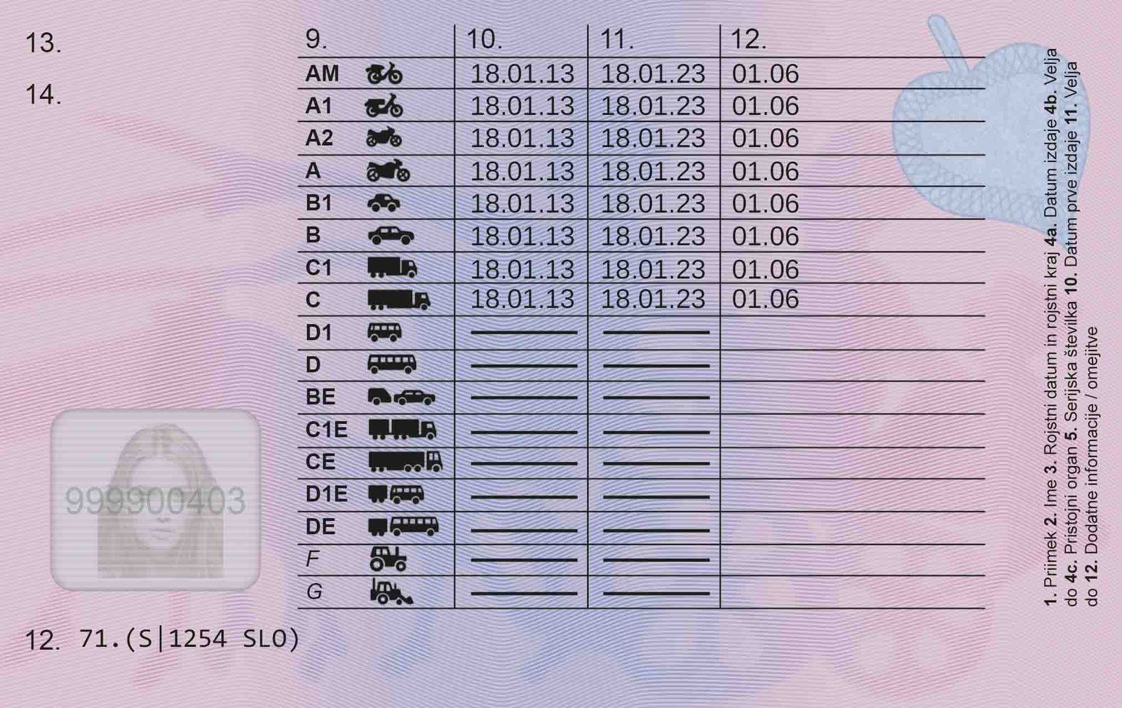 Slovenian Driving License - Image 2