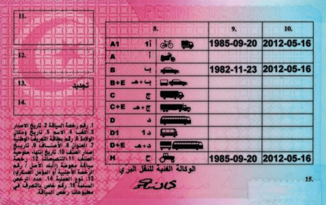 Tunisian Driving license - Image 2
