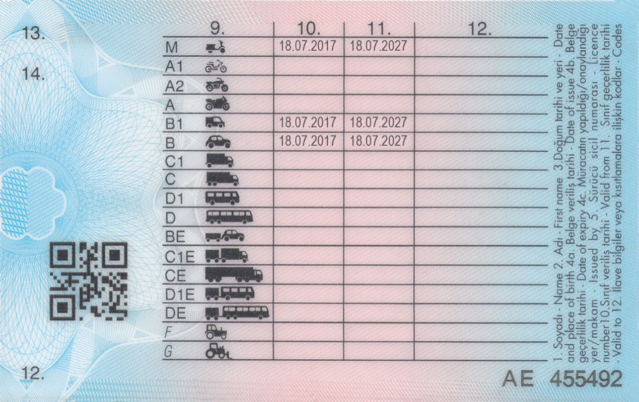 Turkish Driving license - Image 2